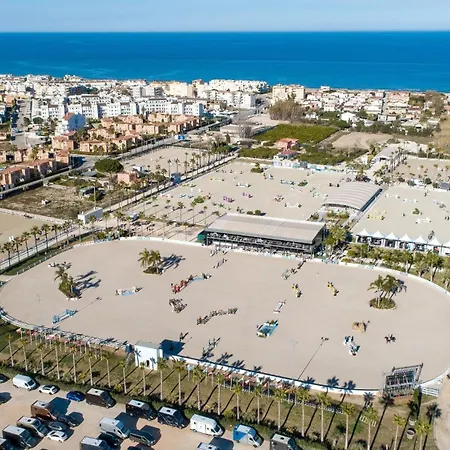 Tansy By On Travel * Oliva