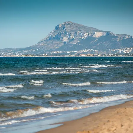 Tansy By On Travel *